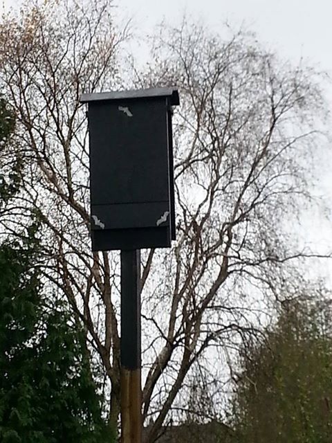 Picture: The bat house.  Carefully designed according to the latest research.