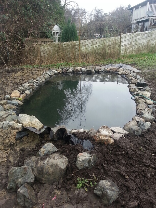 Picture:  Our new pool now full of water.  I still have to add the stream and waterfall.
